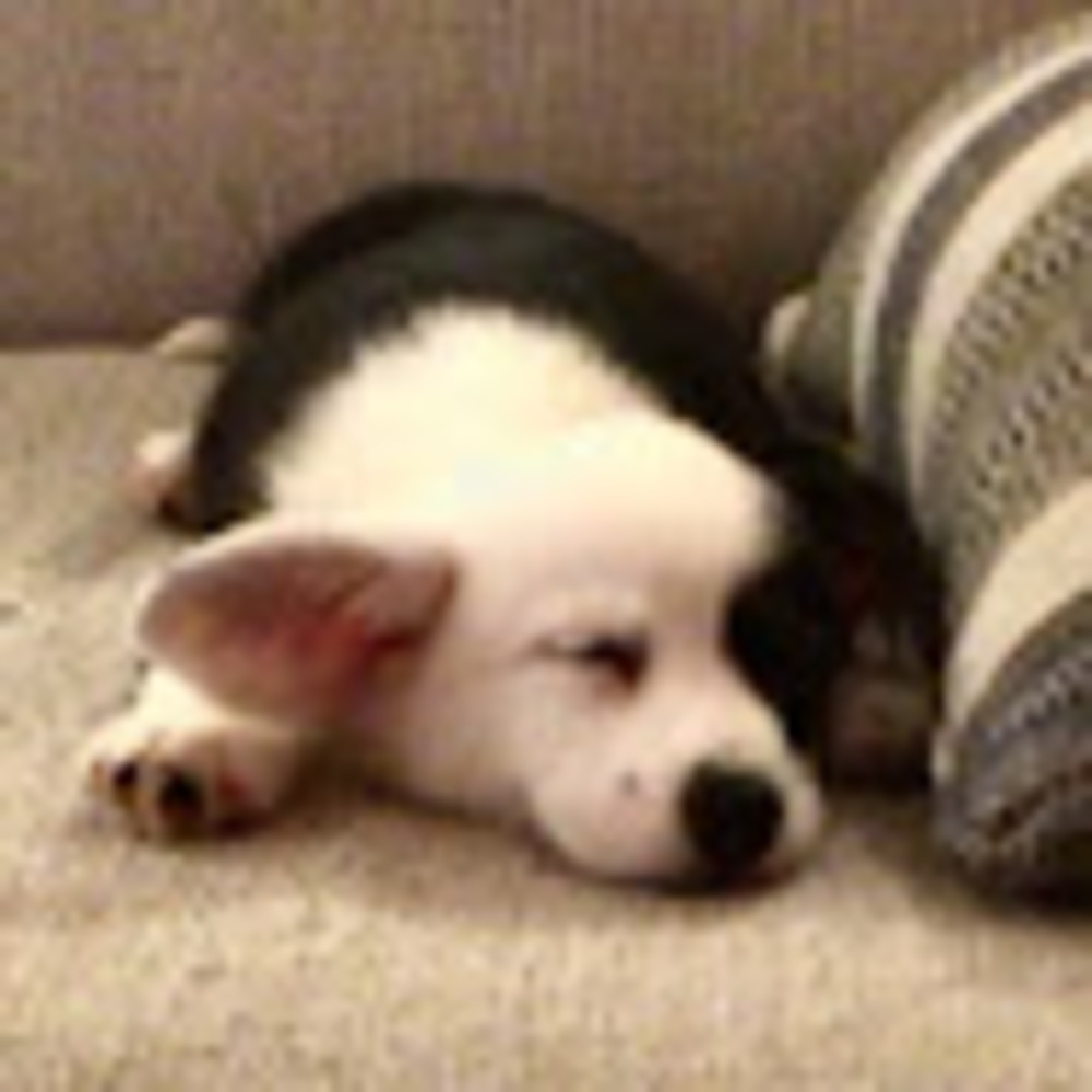 Meet your Posher, Eloise